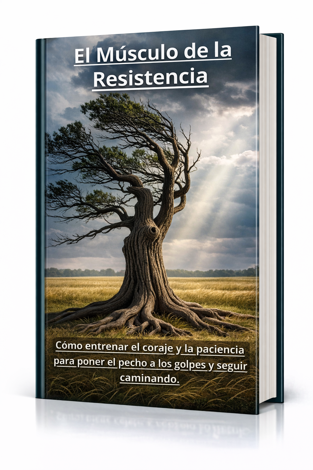 El Musculo de la Resistencia