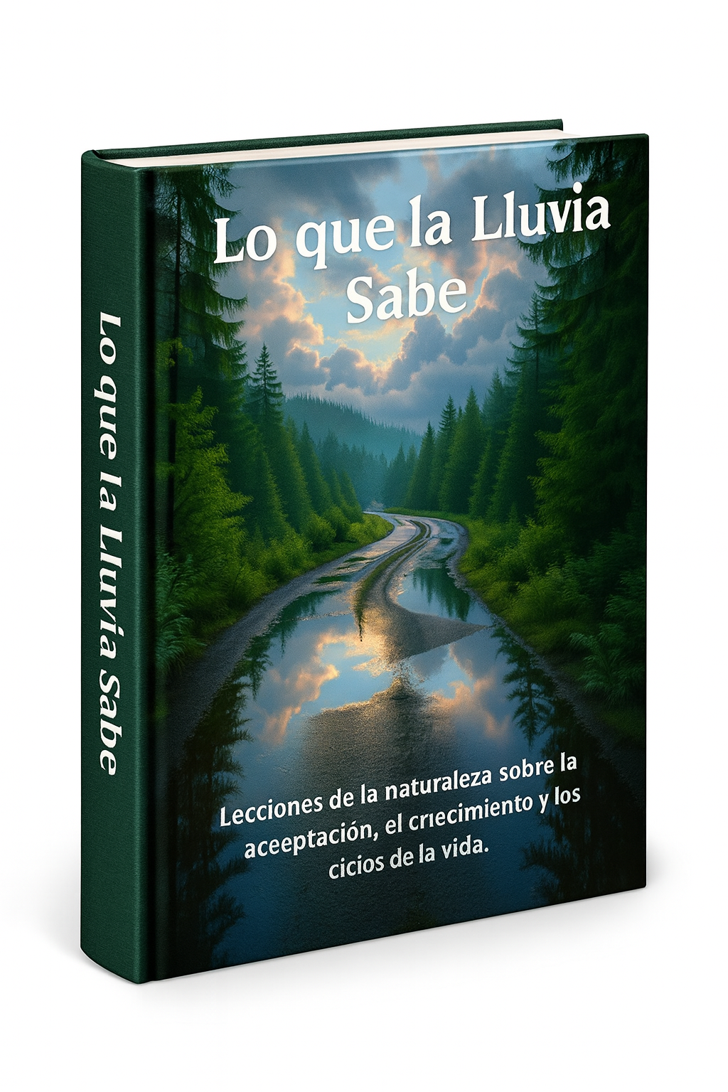 Lo que la Lluvia Sabe